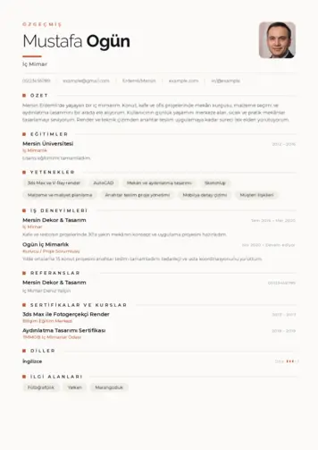 cv indir